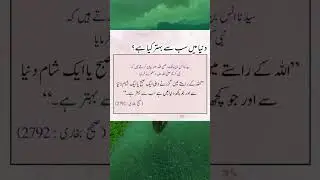 duniyah main sab sy behtar kya hai #perfection #world #islamicquotes #heavenquotes  #peacful #viral