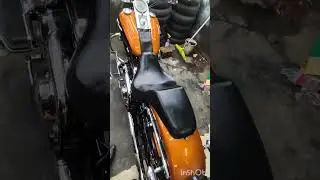 #bikelover #detling #fatboy103 🏍️🏍️🏍️🏍️🏍️🏍️🏍️🏍️🏍️🏍️🏍️💙💙🏍️🏍️💙🏍️🏍️💙🏍️🏍️🏍️🏍️