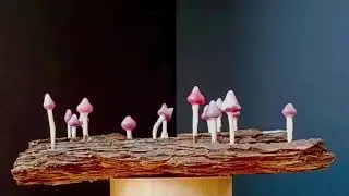 Red Stained Inocybe Mushroom