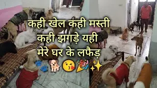 मम्मा का किचन डांस लिटिल🐾🐕🎉 #tengomylife #saveanimals #aawaeanahihamarahai #love❤️🤟