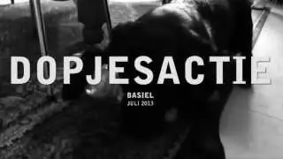 2013 Basiel dopjesactie