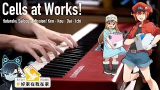 Hataraku Saibou Opening (Cells at Works!) Piano Cover｜SLSMusic
