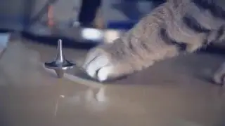 Foreverspin