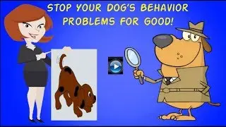 5 Dog Training Myths