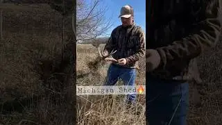 Shed Hunting, Good Michigan buck! #shedhunting #shedantler #shedrally #hunting #deerhunting #deer