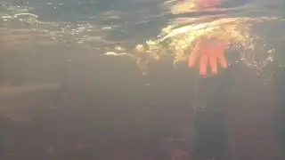 Releasing Atlantic salmon on Ponoi river, Kola Peninsula