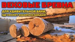 УНИКАЛЬНАЯ БАНЯ, ДОСТУПНАЯ КАЖДОМУ! Баня POST&BEAM из огромных бревен, куда может попасть каждый