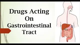 Gastro Intestinal Pharmacology