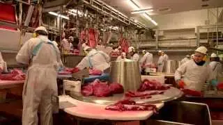 R&eacute;utilisation des eaux us&eacute;es &eacute;pur&eacute;es dans la centrale de traitement de la viande de Colruyt Group