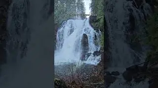 Vancouver Island Waterfalls 😍 So many to see all over the island! 🌊 #vancouverisland