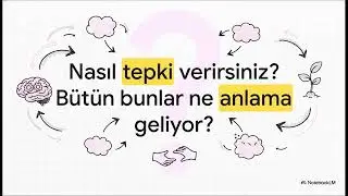 Carol S. Dweck &ndash; Aklını En Doğru Şekilde Kullan | Kitap &Ouml;zeti