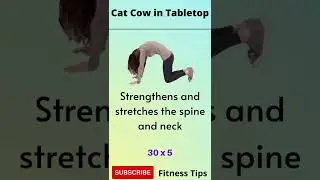 How to Cat Cow in Tabletop | How To Learn Cat Cow In Tabletop Workout | Fitness Tips | #shorts