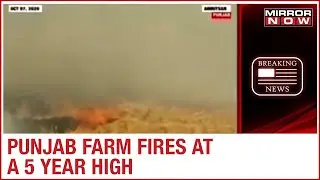 Farm Fires: Punjab farm fires at 5 year high, Delhi's air quality drops