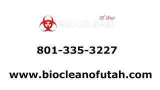 Mold Inspection Provo Utah - Bio Clean of Utah 801-335-3227