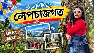 লেপচাজগত -ঘন পাইনের জঙ্গল।#yt #travel #mountains #lepchajagat #darjeeling #offbeatdarjeeling #viral 