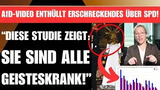 AfD-VIDEO ENTH&Uuml;LLT ERSCHRECKENDES &Uuml;BER SPD und LINKE! 🚨 
