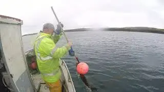 Acoustic Monitoring at Roaringwater Bay, Co Cork - Nicole Todd