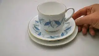 Royal Standard Bone China Trend Tea Cup Saucer & Side Plate Trio