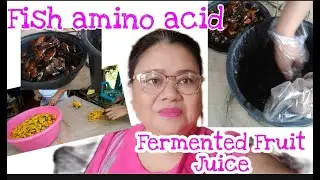 HOW TO PREPARE FAA ( FISH AMINO ACID ) AND FFJ (FERMENTED FRUIT JUICE)