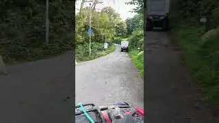 The Sheep Are In A Rush To Get Home