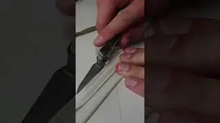 Магниты из уплотнителя дверцы холодильника.