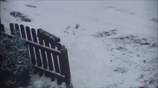 Schnee 16.12.2018