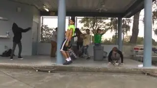 The Harlem Shake (stewys skatepark edition)