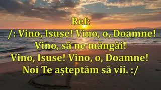 Demult astept sa vi -Negativ ton fata (-1ton)