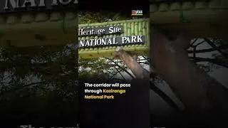 ₹6,950-Crore Kaziranga Elevated Corridor aims to save animals and cut Guwahati&ndash;Jorhat travel time