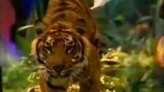 Discovery Channel (Canada) Next Bumper/Station ID 1999