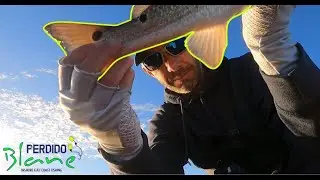 I couldn't keep a line in the water! November 2020. Pensacola, Florida. Perdido Key, Florida.