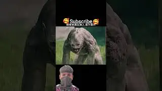 please my channel is subscribe amazing videos new new upload the video