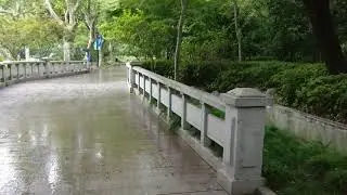 Quick Walk Through Fuxing Park, Shanghai