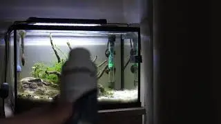 Fishkeeping tips #2!!! (Mini-Series!)