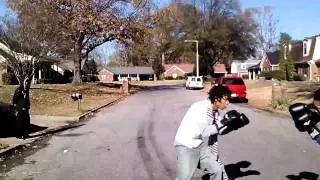 Swagged up doe vs Dinopurplestar boxing