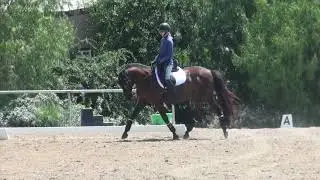 How to ride Dressage Training level test 1