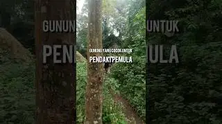 Gunung (Bukit) Munara, Bogor.  #indonesia #nature #mountains #hiking #adventure #viralvideo #pendaki