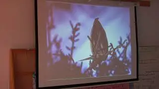 Steve Perrin &ndash; Blue Heron of Taunton Bay