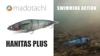 MADOTACHI Hanitas Plus