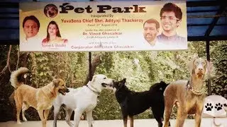 1st Pet Park In Mumbai {Borivali} | Things you should know before you visit this park