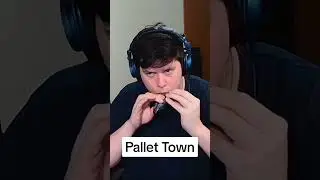 Pallet Town from #Pokemon Red and Blue played on the #Ocarina! #cover #videogames #flute #music #vgm