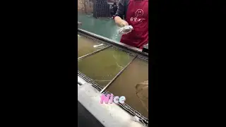 Personalized marble pattern, water transfer printing.