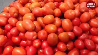 Ensuring Food Security in Nigeria