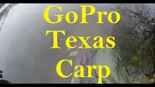 GoPro Carp Fishing in Austin Texas Lady Bird Lake 2015 First Common Netted