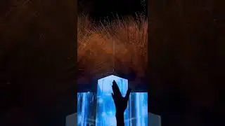 David Guetta - Without You (Outro)| @Livefromfest