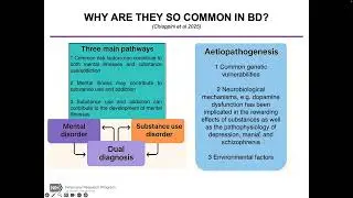 DBSA NCA Presents: Dr. Nefize Yalin on Alcohol and Substance use in Bipolar Disorder