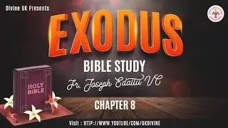 Bible Study on Exodus: Chapter 8