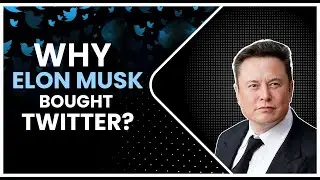 Why Did Elon Musk Buy Twitter | A Twitter Case Study