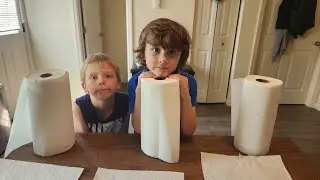 Which Paper Towel is Most Absorbent?