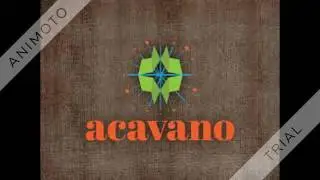 Cheap logo design specialist 360p